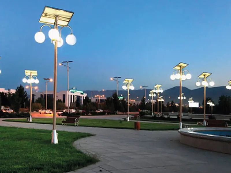 Image module